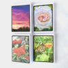 Homemade Gift Cards: Sunset, Rose, Pohutukawa, Butterfly