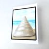 Conical Beach Trochus Shell Gift Card