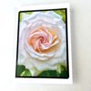 Rose Premium Gift Card