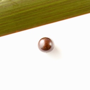 BrownRoundFWPearl9mm