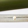 IvoryPearl8mm_Scale