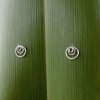 Concentric triple circle studs in eco Sterling Silver