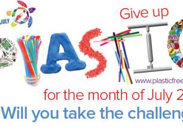 plastic free july banner