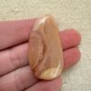 Kauri Gum Circles_Front with hand scale